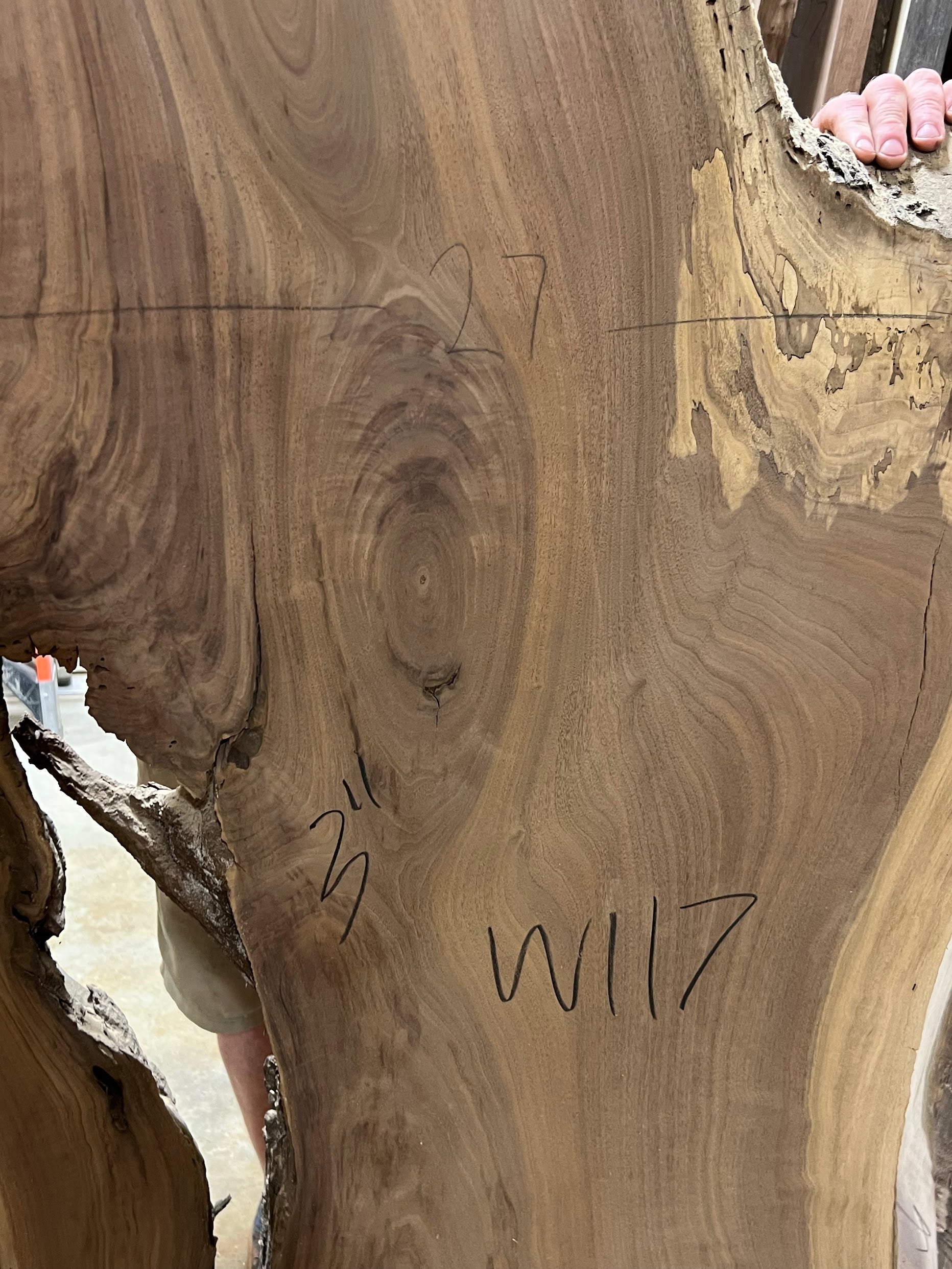 W117 87"